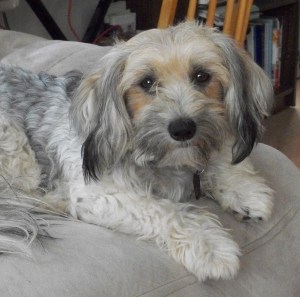 b293e-100_74292b252822529