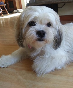 20181124_093736-01resize